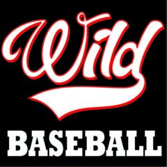 Wild Baseball