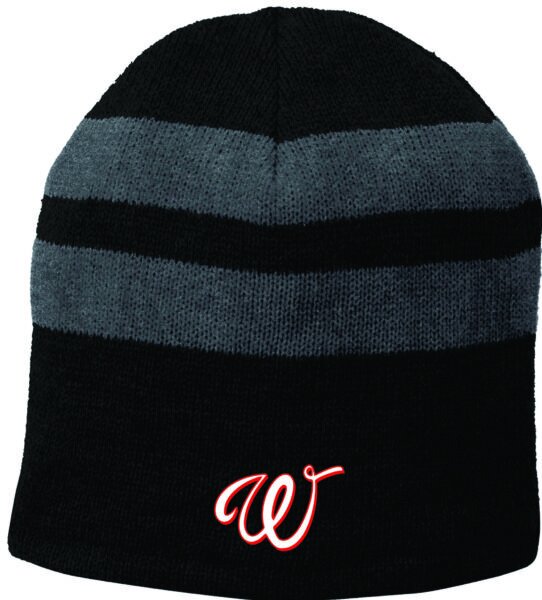 Wild Baseball Beanie