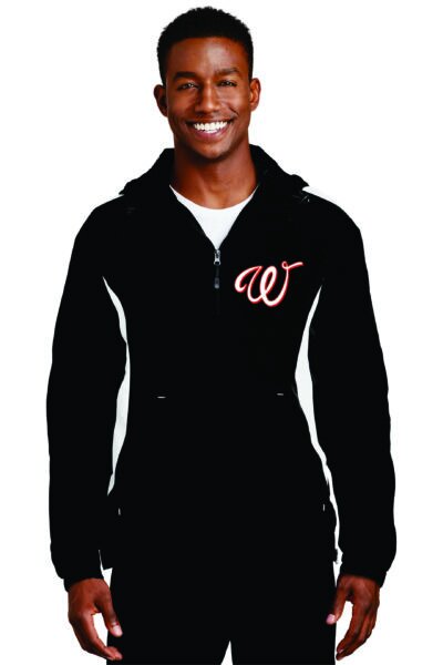 Wild Baseball 1/4 zip pullover