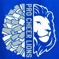 Pro Cheer Lions